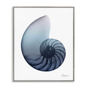 Stupell Industries Contemporary Nautilus Shell, 11" x 14" - 1 of 4
