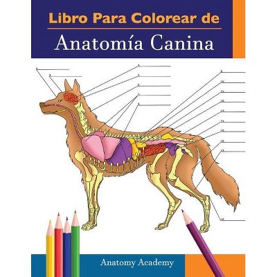 Libro para colorear de Anatomía Canina - by  Anatomy Academy (Paperback)