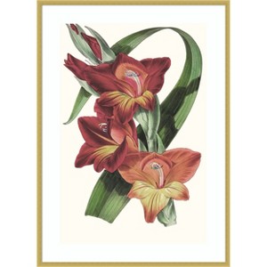 Amanti Art Paxton Tropicals II by Jennifer Paxton Parker Wood Framed Wall Art Print - 1 of 4