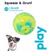 Bellura Pet - Fetch Ball Dog Toy - Green - 4 of 4