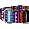 Country Brook Petz HossFit Jr Wide Premium Dog Collar - Country and Western Collection - 4 of 4