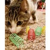 Spot Wide & Colorful Springs Cat Toy - 10 Pack - 3 of 3