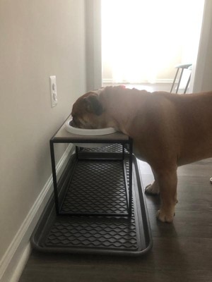 elevated dog bowls target
