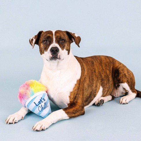 Balloon cone best sale for dogs