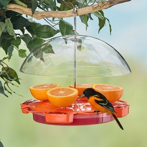 The Lakeside Collection Hummingbird Feeder For Food And Nectar With Clear Shield - 1 of 4