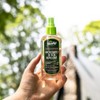 Murphy's Naturals Lemon Eucalyptus Oil Mosquito and Tick Repellent Spray - 4 oz (PACK OF 2) - 2 of 3