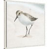 Amanti Art Sandpiper on the Beach II by Lucca Sheppard Canvas Wall Art Print Framed 22 x 22-in. - 2 of 4