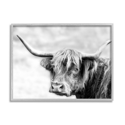 Stupell Industries Bold Country Cattle Black White Photography Wild Animal
