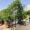 Dolonm Metal Garden Arch with Gate Climbing Plants Support Rose Arch Outdoor Black - 4 of 4