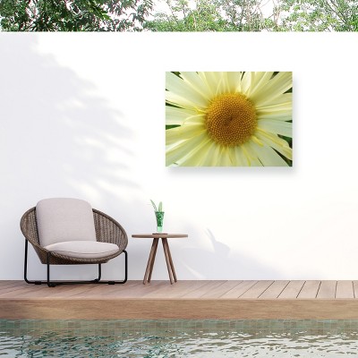 Trademark Fine Art - Leslie Montgomery Mellow Yellow Matted Framed Art