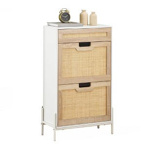 Rattan Shoe Storage Cabinet with 2 Flip Drawers, Farmhouse Narrow Shoe Organizer with a Slide-Out Drawer - 1 of 4