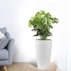 Kumasinova Set of 2 Faux Rattan Planters,Flower Plant Pots with Water Level Monitor Inner Bucket,Automatic Watering for Garden,Patio,Backyard - 2 of 4