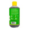 Alaffia EveryDay Coconut Body Wash - 16 fl oz - 3 of 4