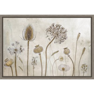Amanti Art 23"x16" Growing old by Mandy Disher: Botanical Lithograph, Modern Decor Style, Framed Canvas Print - 1 of 4
