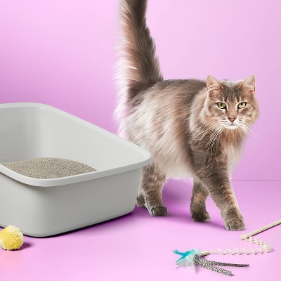 Standard Waste Cat Pan - Gray - XL - up &#38; up&#8482;