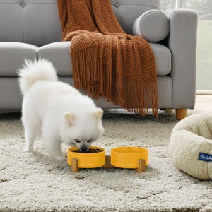 Coco Dual Pet Bowl with Wood Stand 5.11 in Yellow - 1 of 4