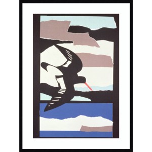 31" x 41" Oyster Catcher Bird by John Wallington - Amanti Art: Giclee Print, Hardwood Frame - 1 of 4