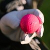 Soft Feel Lady Golf Balls for Women,Soft Without Compromise,Increased Distance,consistency you need to improve your game. - 4 of 4
