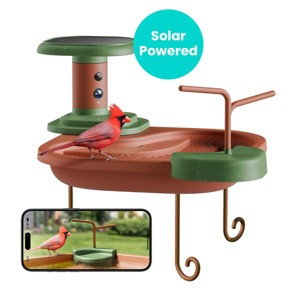 Birdfy Smart Bird Bath Jolly V with Camera, Solar Powered Outdoor