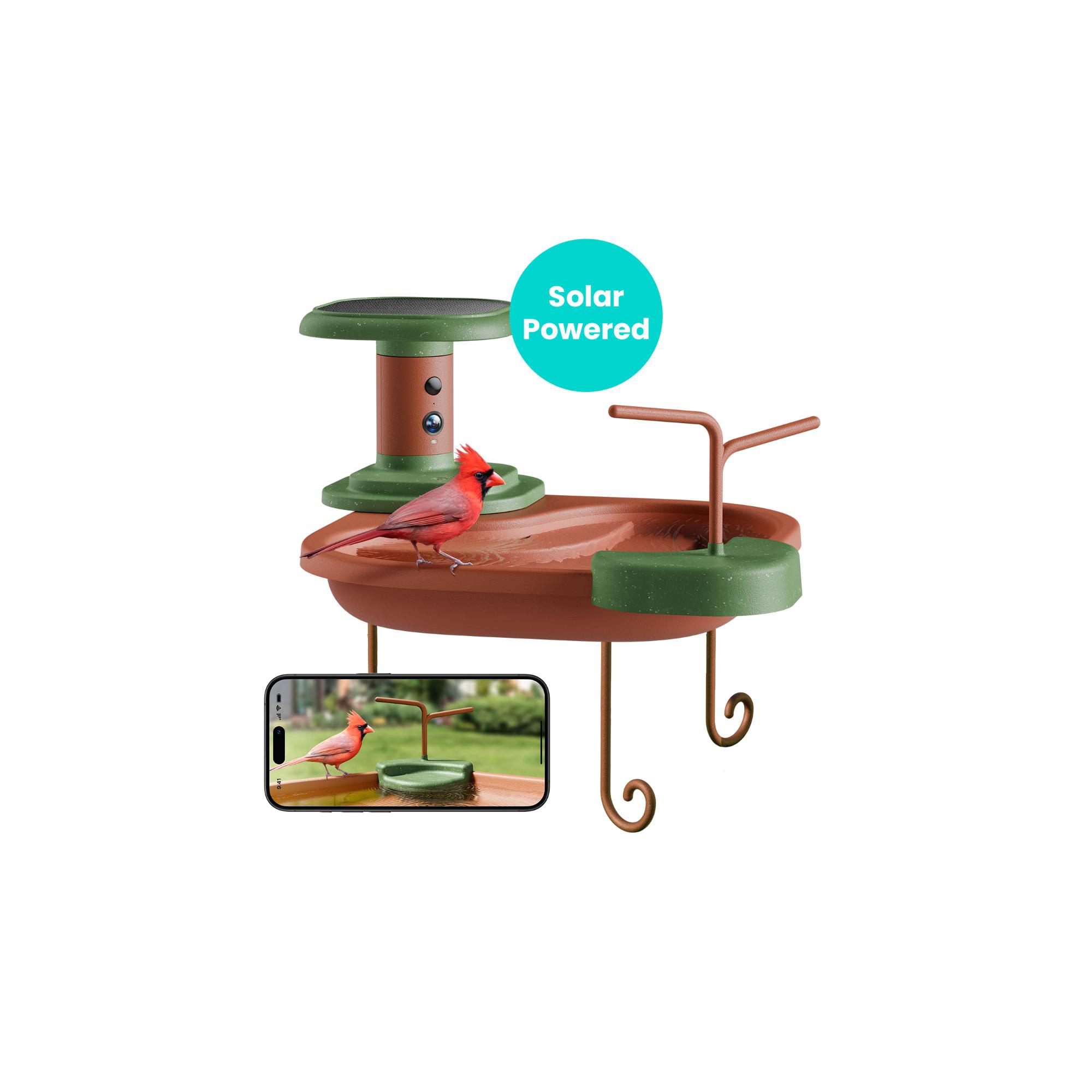 Birdfy Smart Bird Bath Jolly V with Camera, Solar Powered Outdoor Birdbath with 7-Day Free Trial AI Bird ID, 1080P Live View, Gift for Bird Lovers