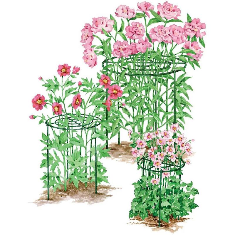 Gardener's Supply Company Grow Through Plant Support | Sturdy Metal Support Frame For Peonies, Roses Flower Garden Cage | Wide Top Rings Bouquet Shape, 1 of 3