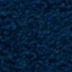 navy/white