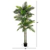 Nearly Natural 8-ft UV Resistant Artificial Double Robellini Palm Tree (Indoor/Outdoor) - 2 of 4