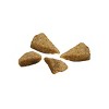 Purina ONE +Plus Skin & Coat Formula Natural Salmon Dry Dog Food - 16.5lb - image 2 of 4