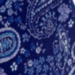 evening blue paisley