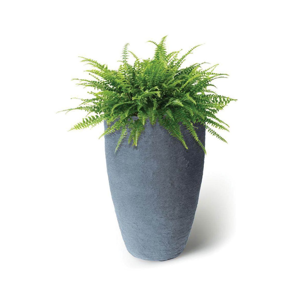 Algreen Products 87311 Athena 20.5 Inch Self Watering Level Indicator Indoor Outdoor Plastic Planter with Overflow Drain, Brownstone - thumbnail 10