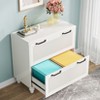 Tribesigns 2-Drawer File Cabinet - 3 of 4