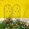 Hrinhom 2-Panel Metal Garden Trellis，Arched Plant Support，Decorative Fence - 3 of 4