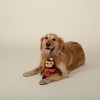 PetShop by Fringe Studio Girls Just Want to Have Sun Dog Plush Toy - 3 of 3
