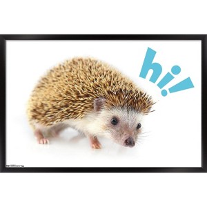 Trends International Cute Hedgehog - Hi! Framed Wall Poster Prints - 1 of 4
