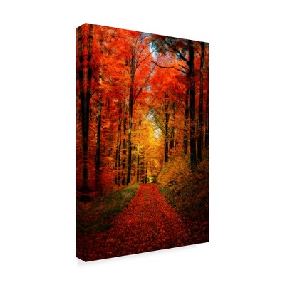 Trademark Fine Art -Philippe Sainte-Laudy 'Forest Garden' Canvas Art