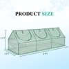 Aoodor 3-in-1 Mini Greenhouse Kit, Small Greenhouse with Triple-Layer Window for All-Season Vegetable and Plant Growing - 3 of 4