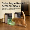 Automatic Cat Feeder with RFID Technology, Collar-Activated Food Dispenser with Wi-Fi Control - 3 of 4