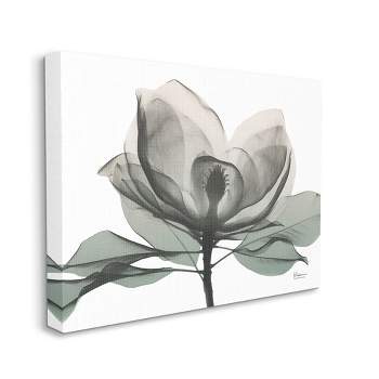 Stupell Industries Hanging Plant Vines Modern Greenery Watercolor Gallery  Wrapped Canvas Wall Art, 24 X 30 : Target