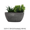Unique Bargains Artificial Plants Plastic Blue Green 5.91"x1.18"x5.91" 1Pcs - 3 of 4