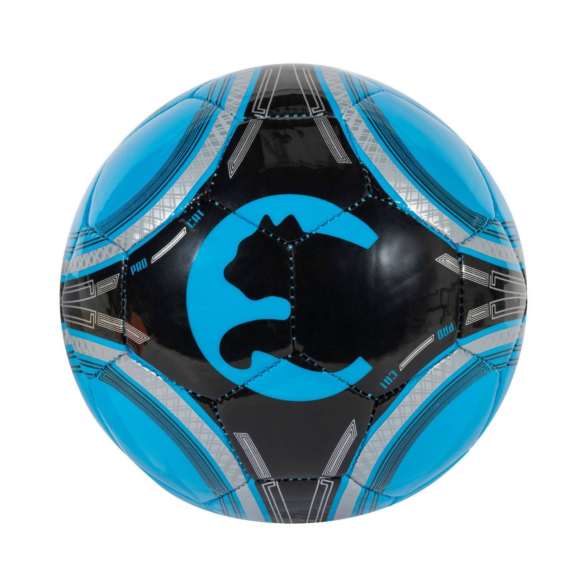 ProCat Size 1 Mini Ball - Blue
