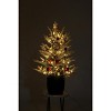 3 Ft Pre-Lit Christmas Tree, Artificial Christmas Trees with Lighting, Xmas Trees with Lights, Christmas Decoration for Home, Office, Easy Assembly - 4 of 4