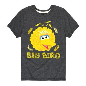 Boys' - Sesame Street - Big Bird Face Short Sleeve Graphic T-Shirt - 1 of 4