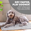 Dog Gone Smart Dirty Dog Doormat - Fast Drying Rug for Clean Floors - Super Absorbent Mat for Muddy Paws - 2 of 4