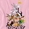 Boys' Short Sleeve Looney Tunes Gang 2 T-Shirt - 3 of 4