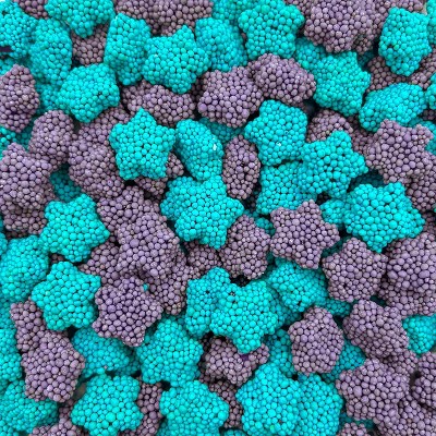 Cosmo Clusters Candy - 1.5 Pound Pack - Crunchy Gummies - Star Gummy Candies - Berry Flavored