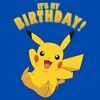 Boy's Pokemon Pikachu It's My Birthday T-Shirt - 2 of 4
