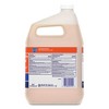 Safeguard Professional Antibacterial Liquid Hand Soap, Light Scent, 1 gal Bottle, 2/Carton - image 4 of 4