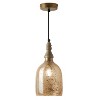 7" Regan Champagne Glass Pendant Light - River of Goods - 3 of 4