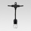 24ct Classic Café Outdoor String Lights Integrated LED Bulb - Black Wire - Enbrighten - image 2 of 4