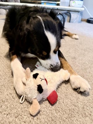 Guest review image 2 of 3, zoom in